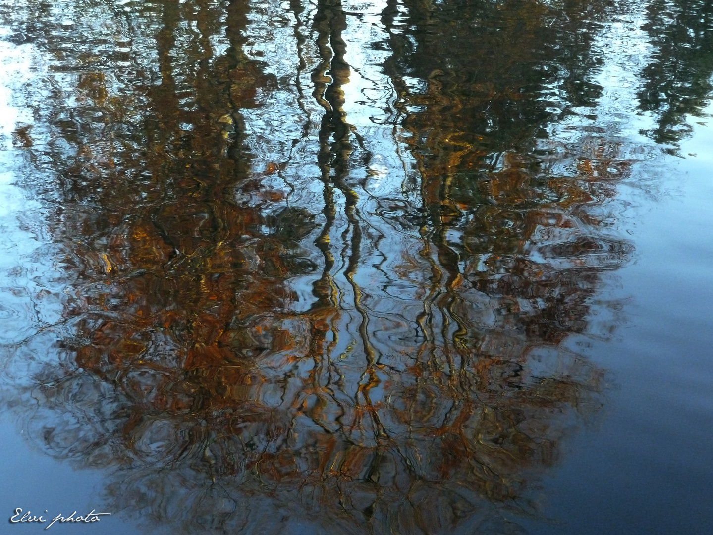 Derniers reflets d'automne