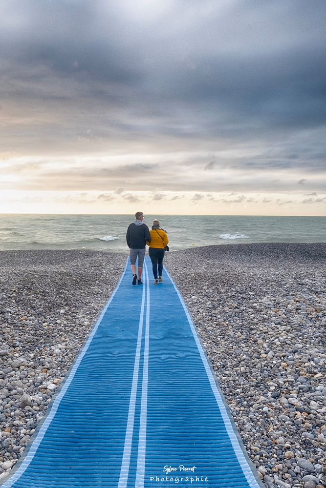 Dérouler le tapis bleu