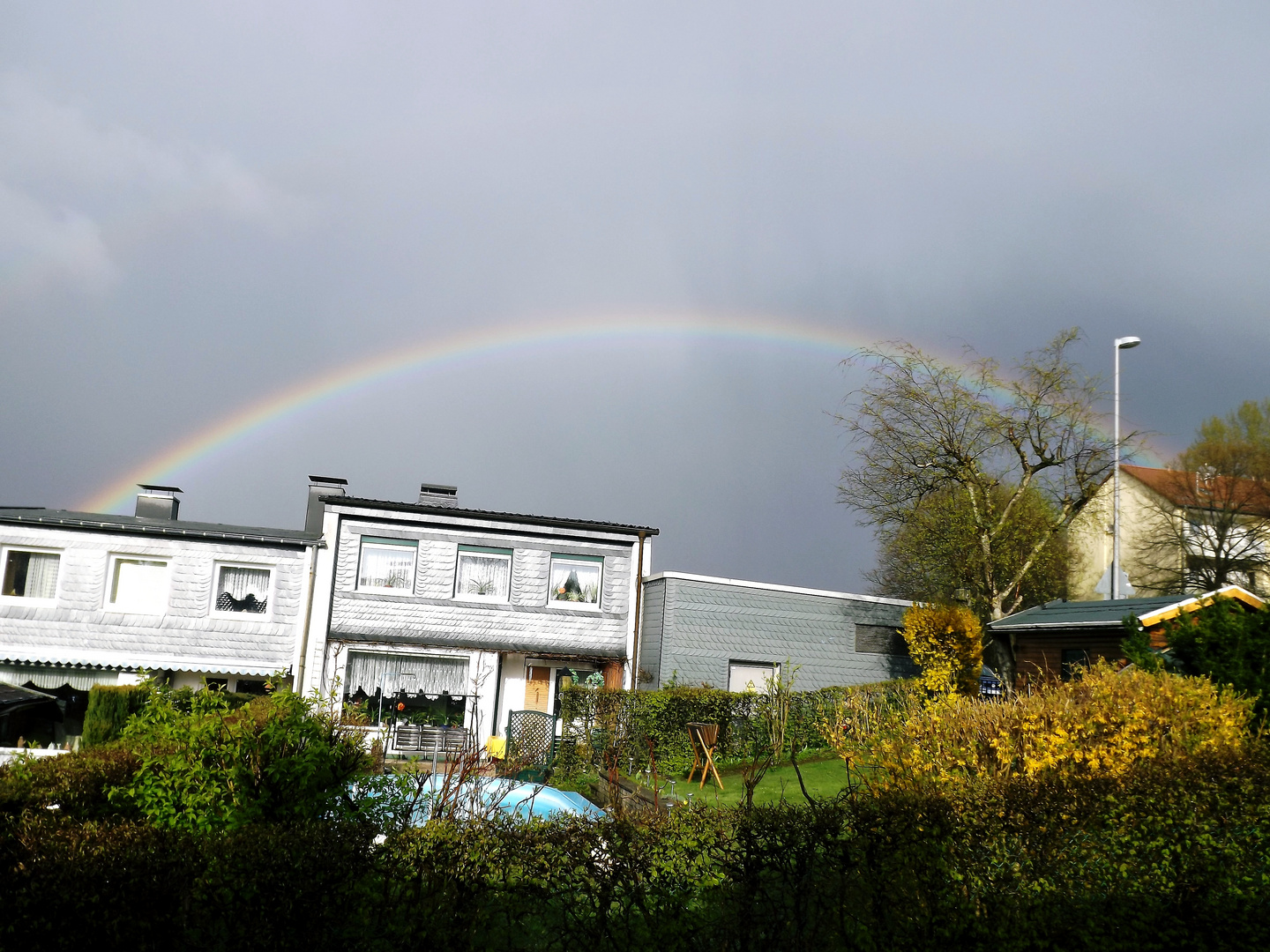 derRegenbogen