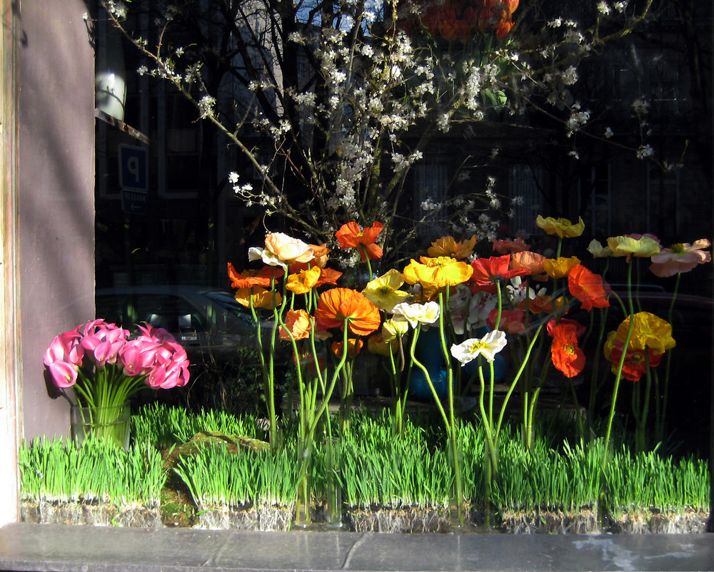 Derrière la vitrine .....Paris