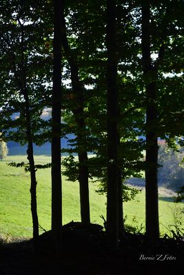 Derrière les barreaux de la nature