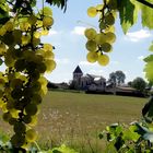 Derrière les raisins... mon village