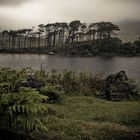 Derryclare Lough - Connemara