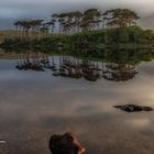 Derryclare Lough