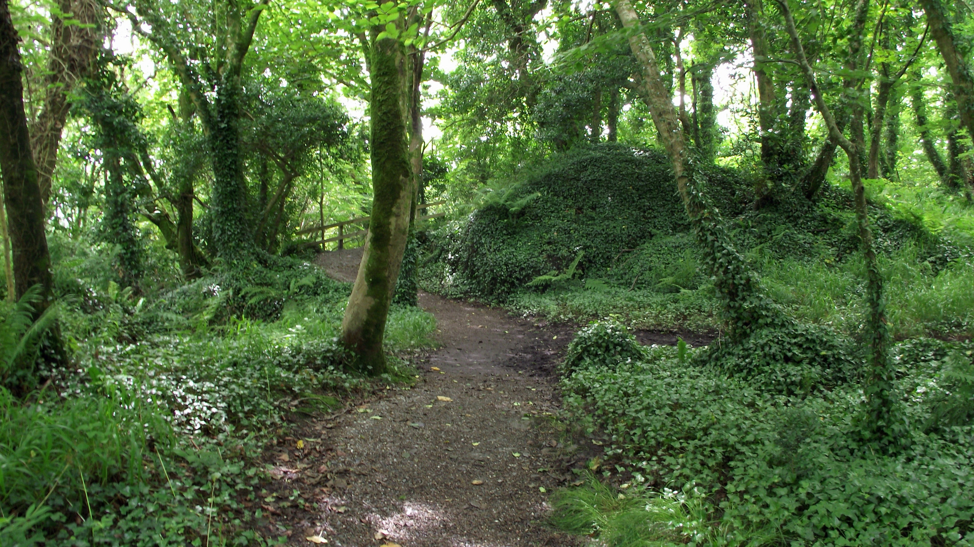 Derrynane Gardens