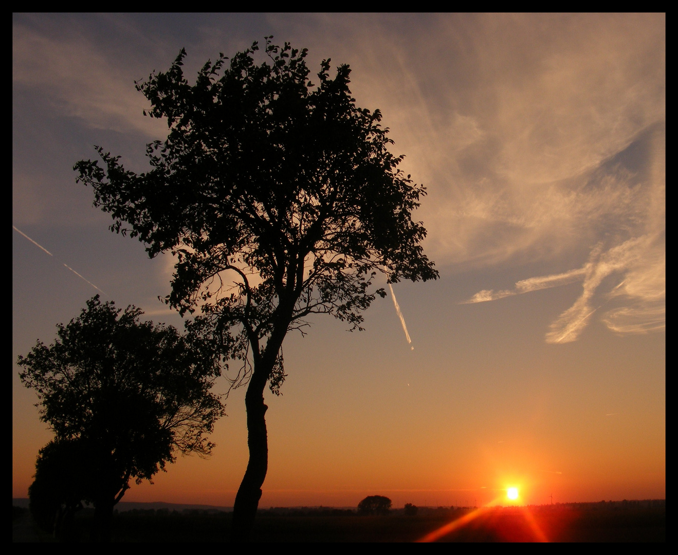 der.sonne.entgegen