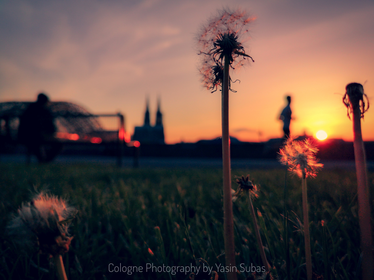 Der_Sonnenuntergang_in_Köln[1]