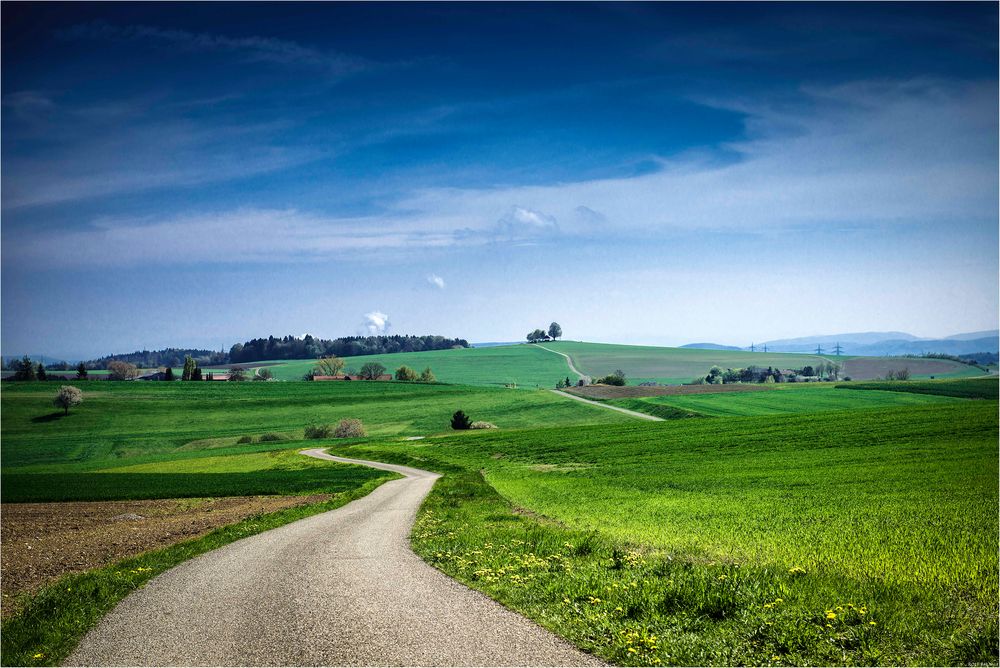 Der.Weg.zum.Horizont Foto & Bild landschaft, wege