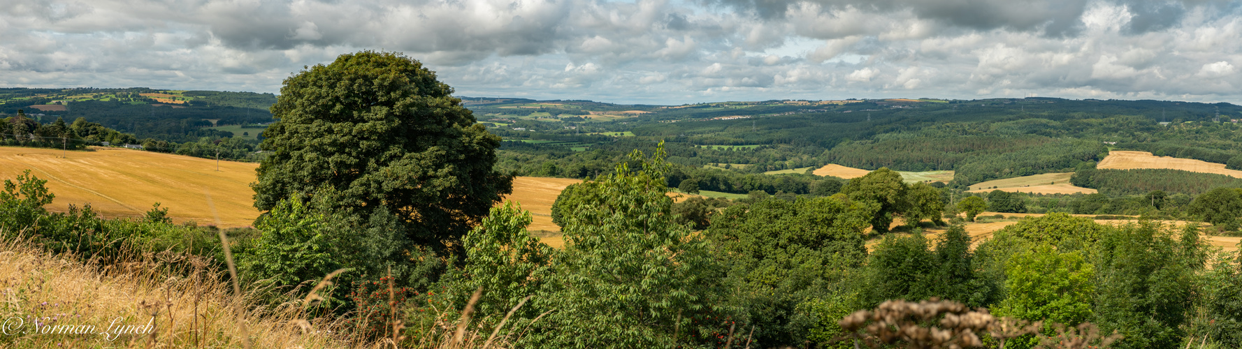  Derwent Valley