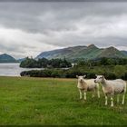 Derwent Water