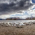 Derwent Water Panorama