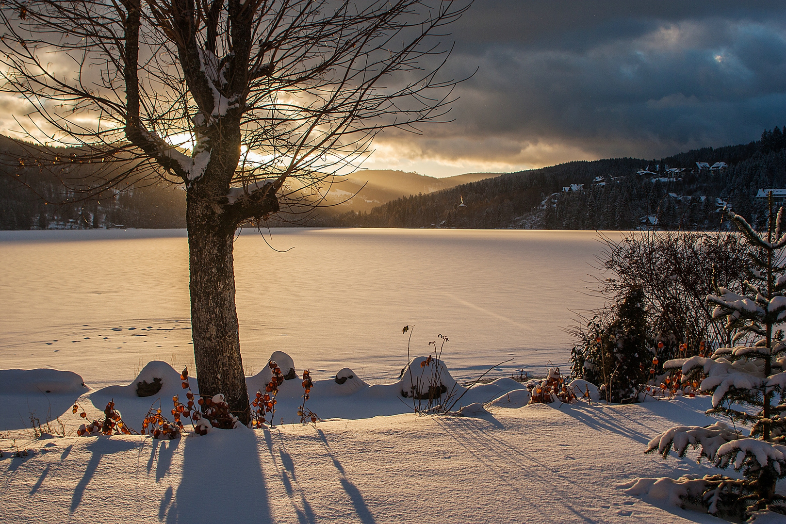 Des Abends am Titisee