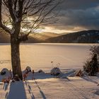 Des Abends am Titisee