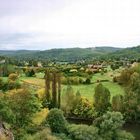 DES ARBRES DANS LA CAMPAGNE DU PERIGORD