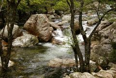 Des arbres, des rochers et de l'eau