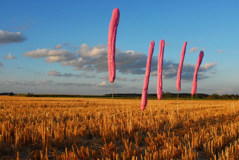 des baguettes roses