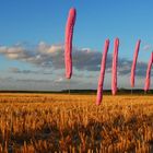 des baguettes roses