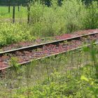 Des Bahnchefs blühende Phantasie