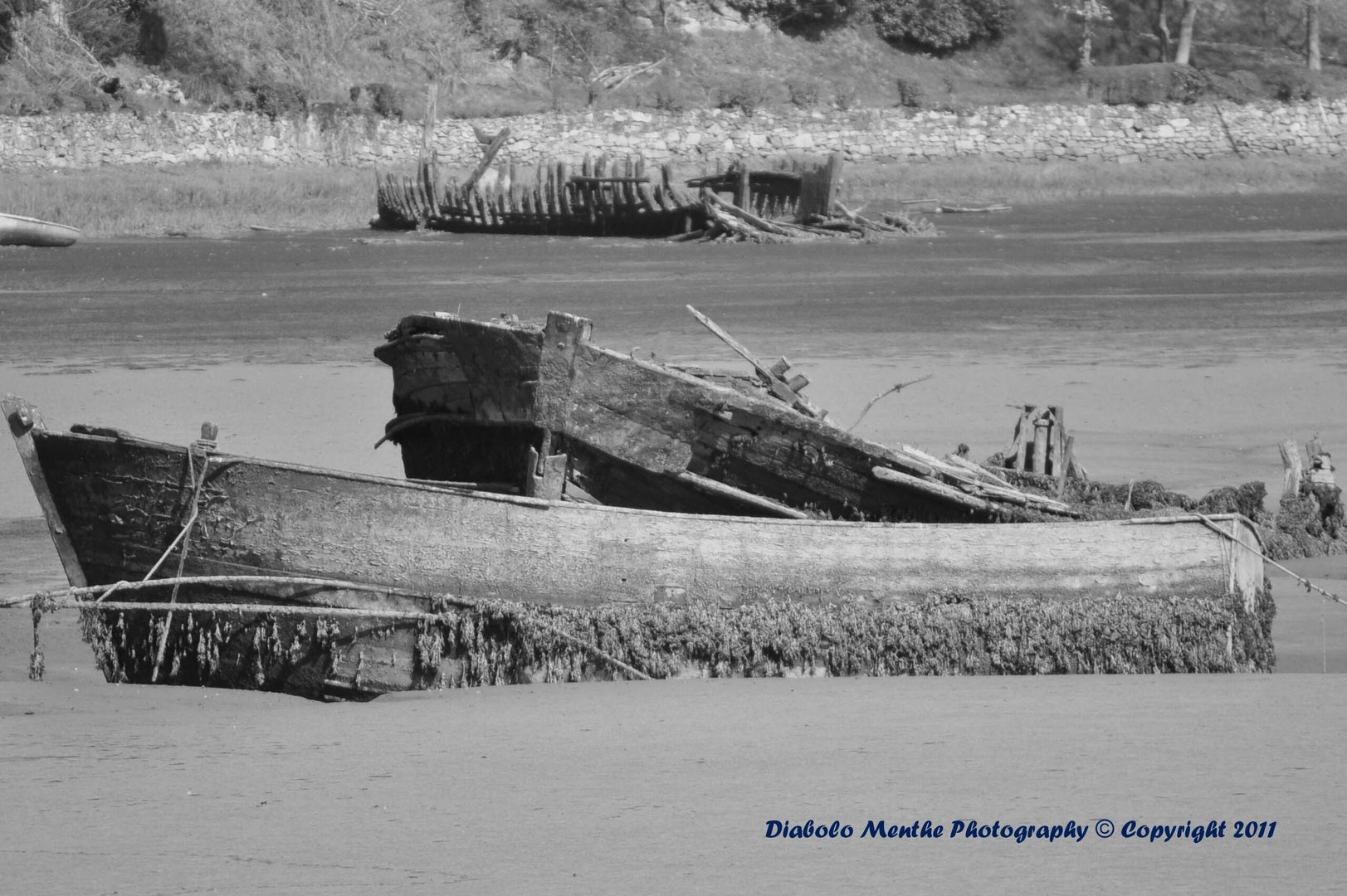 des bateaux au repos