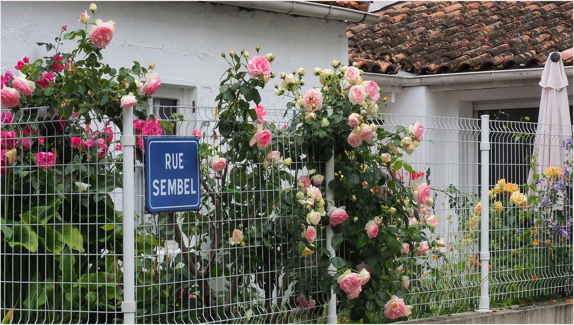 Des belles de la rue Sembel