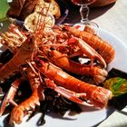 Des belles langoustines sur la dune - vue 180% d'Atlantique.