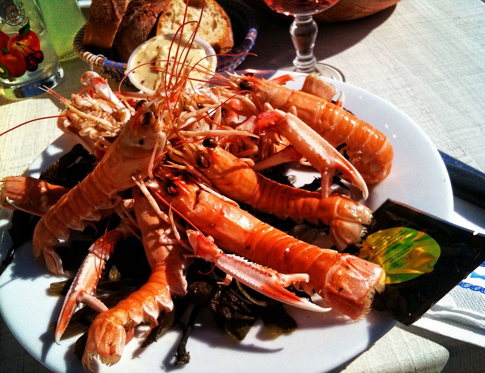 Des belles langoustines sur la dune - vue 180% d'Atlantique.