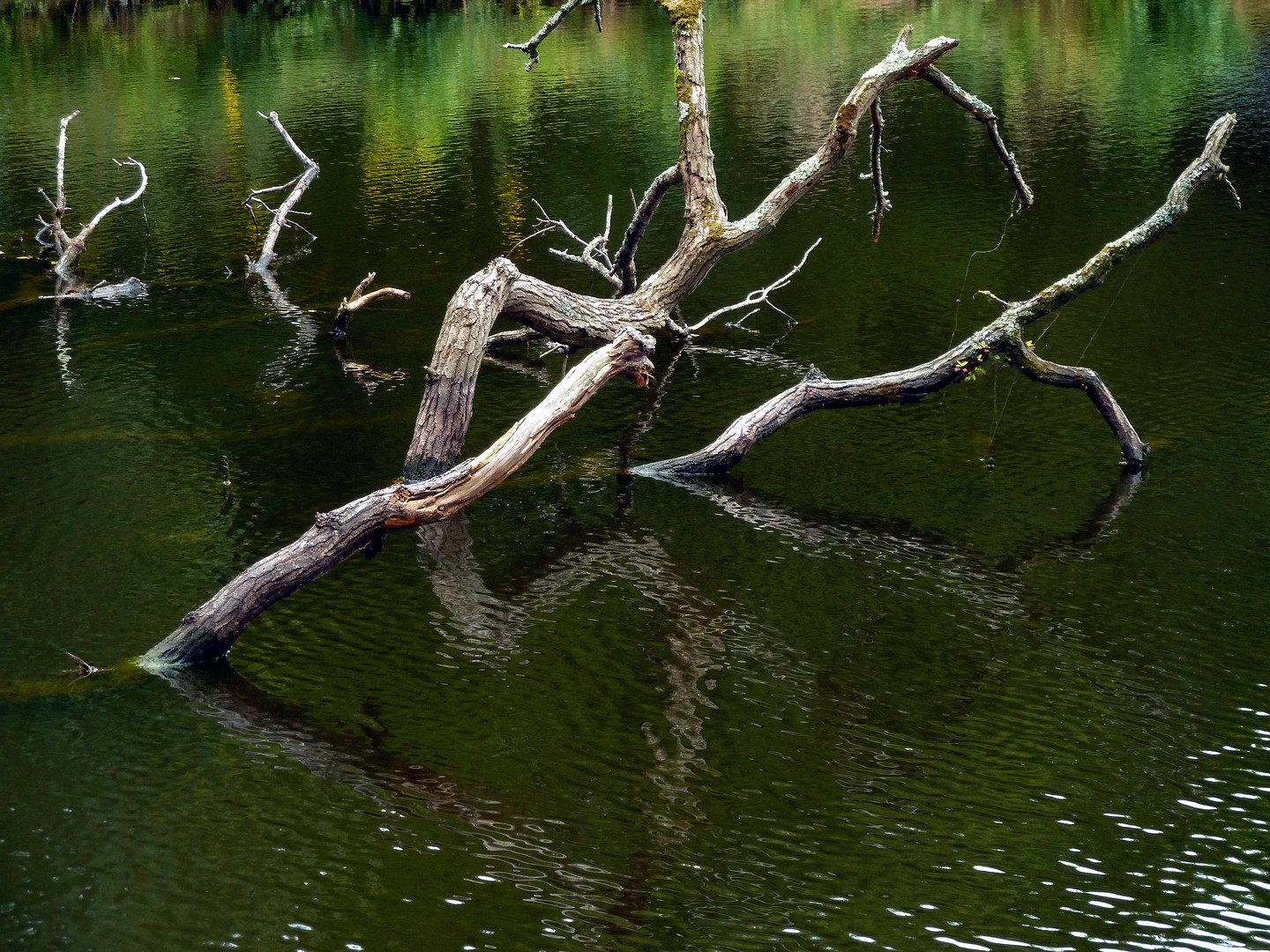 des bras hors de l'eau