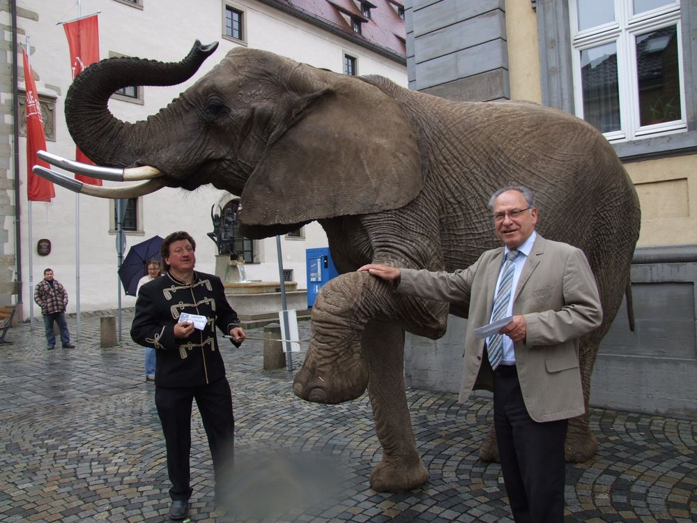 Des Bürgermeisters neues Haustier ...