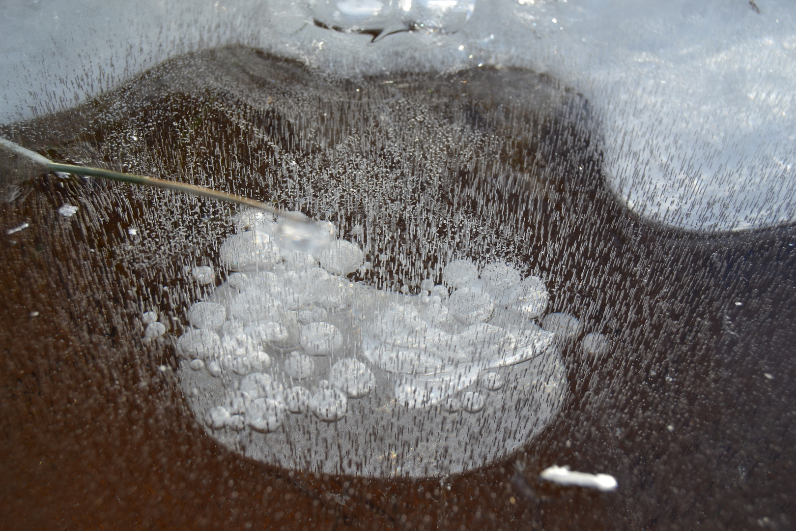 Des bulles d'eau sous la glace