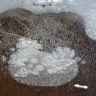 Des bulles d'eau sous la glace
