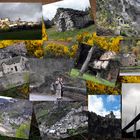 Des Cévennes aux Gorges du Tarn et Aveyron ....