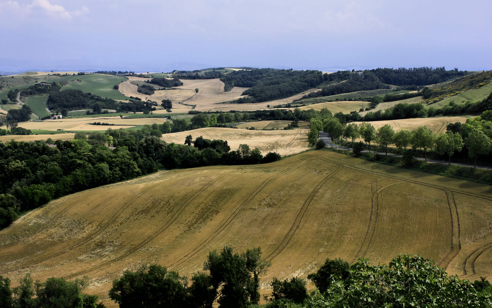 Des Champs et des arbres