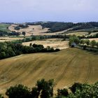 Des Champs et des arbres