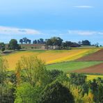 Des champs jaunes dans le Gers