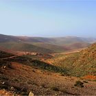 Des collines plantées de cactus à perte de vue - Hügel mit Kakteen soweit das Auge reicht