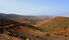 Des collines plantées de cactus à perte de vue - Hügel mit Kakteen soweit das Auge reicht