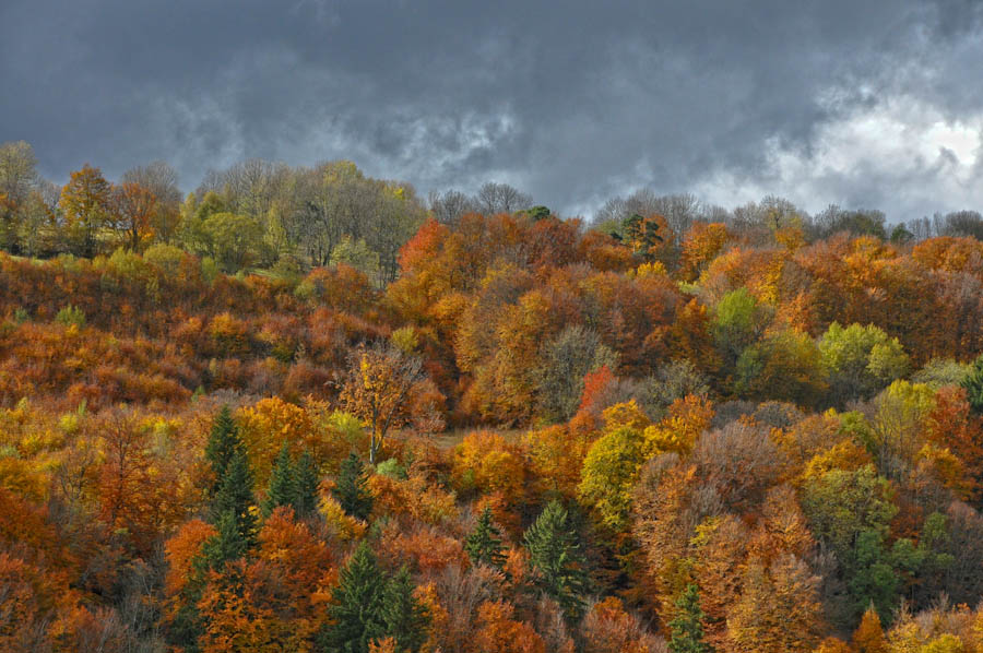 Des couleurs qui prennent la pose