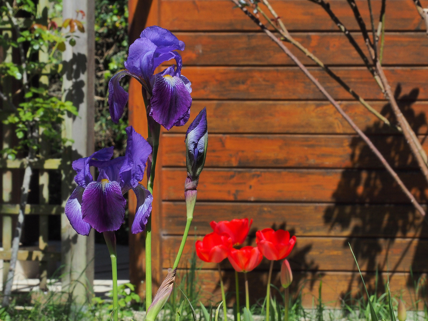 Des couleurs qui surgissent et se mélangent…