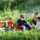 des enfants en plein nature