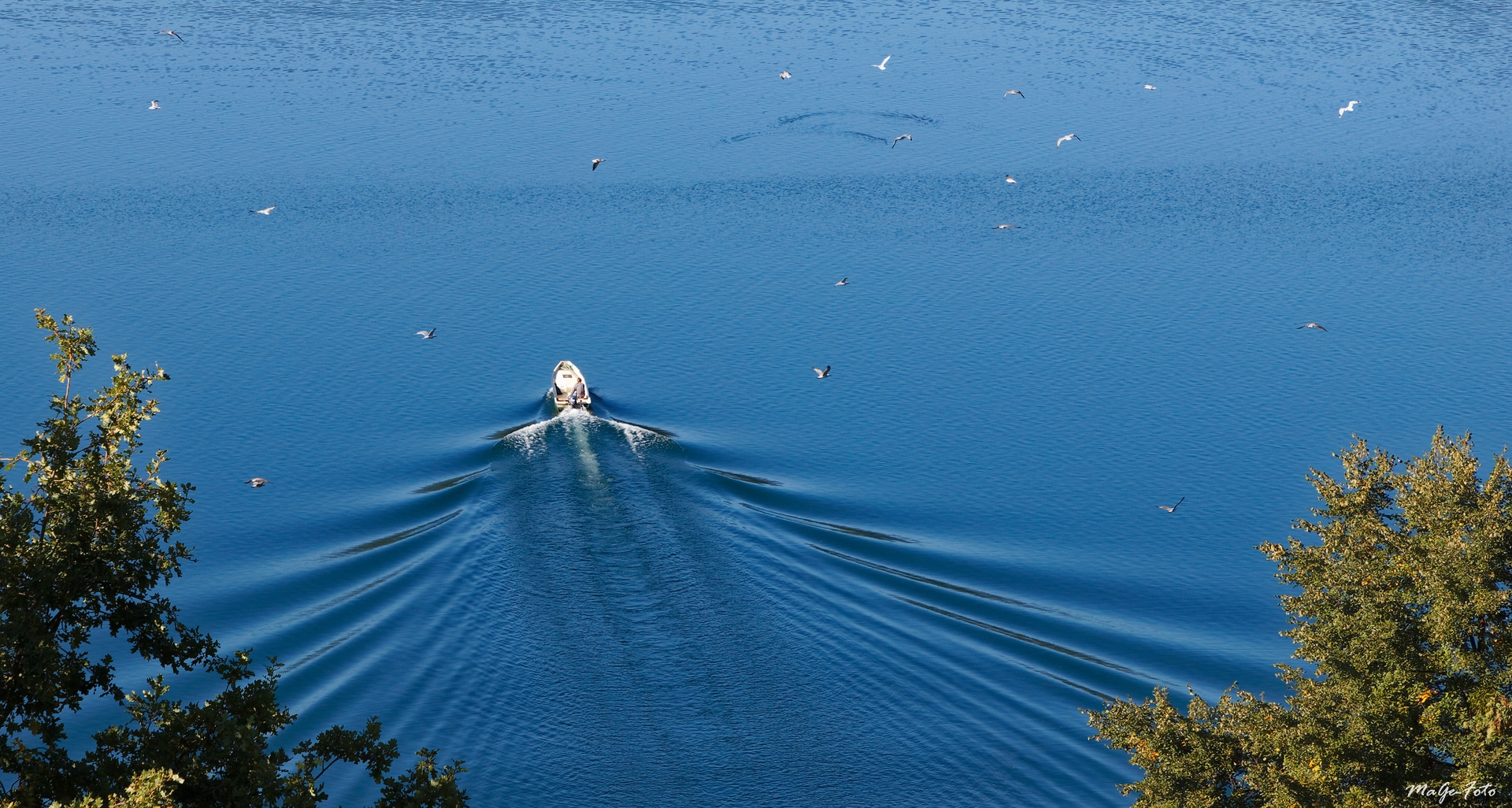 Des Fischers treue Begleiter