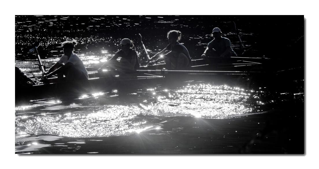 Des flèches qui font des ronds dans l'eau.