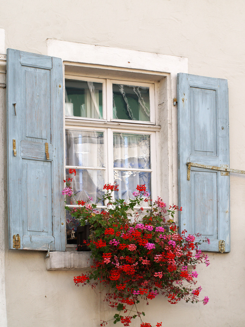 Des fleurs à la fenêtre ou la fenêtre aux fleurs…! 