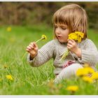 Des fleurs pour Maman !!