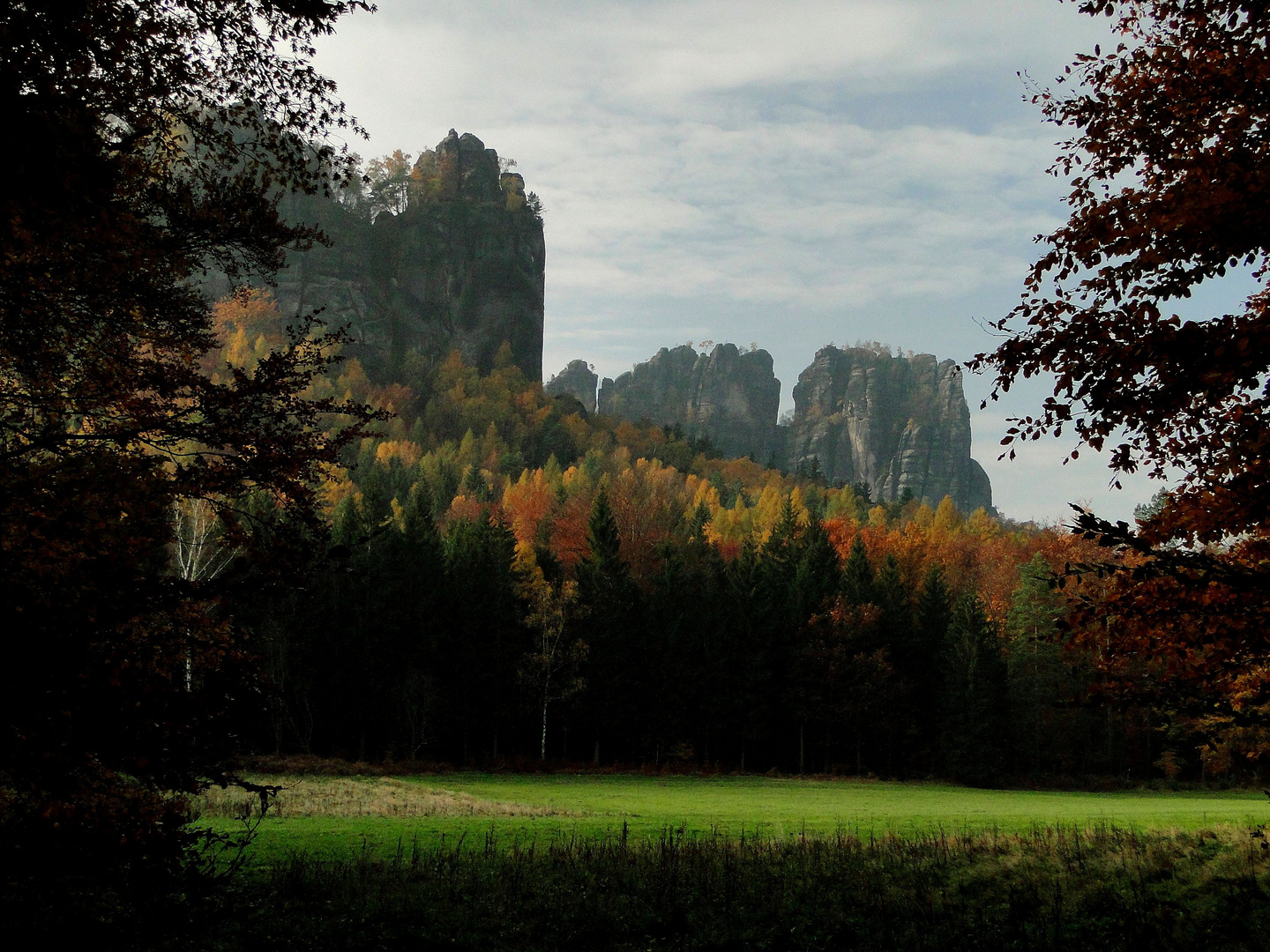 Des Herbstes letzter Aufschrei.