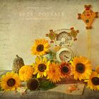 des Herbstes schönste Kinder ....