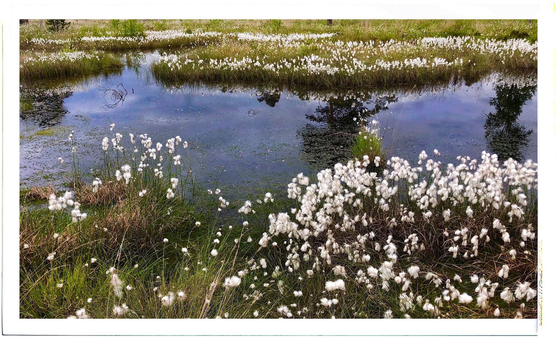 Des Himmels Flausen