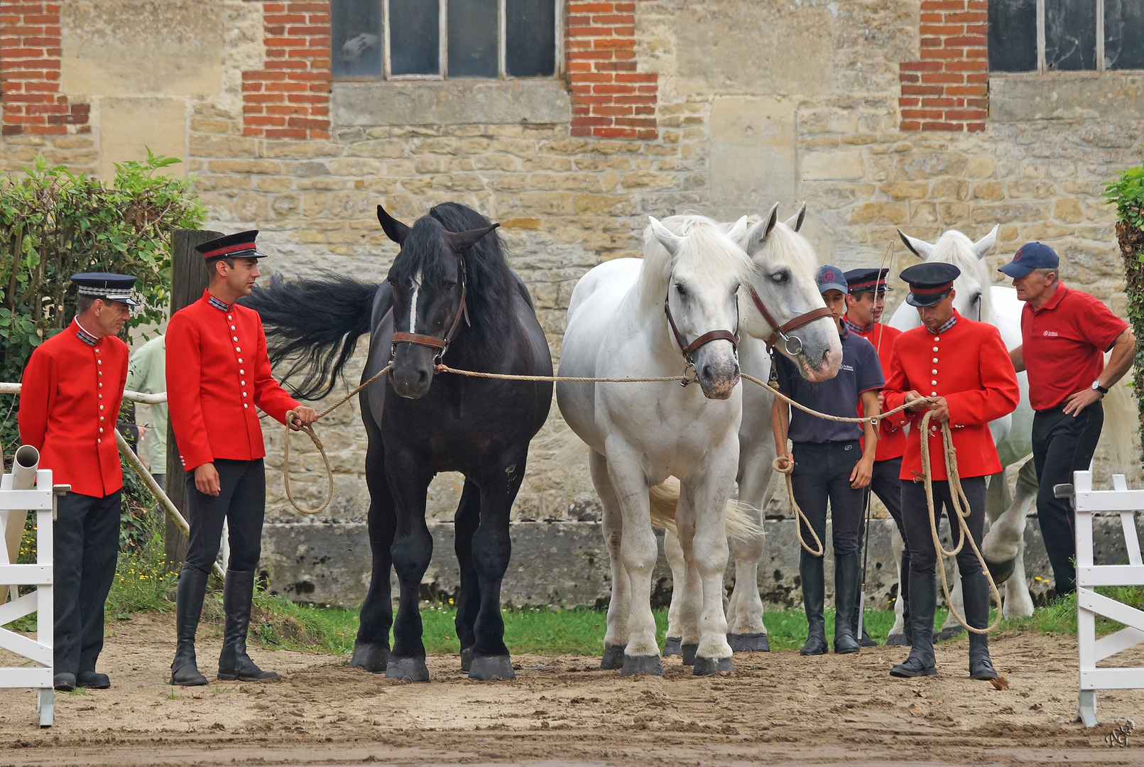 Des Hommes et des chevaux ....