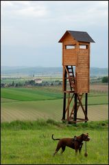 Des Jägers Ausblick - Hochhausvariante