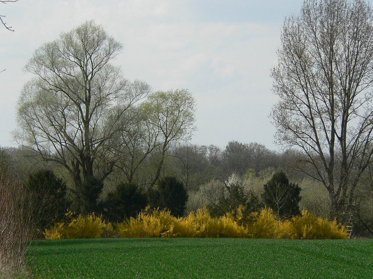 des Jägers Vorgarten