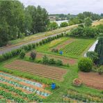 Des jardins le long de la Garonne à Agen